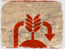 Compostable